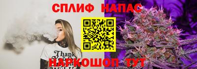 винт Нарткала