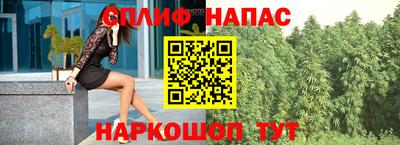 ГАЛЛЮЦИНОГЕННЫЕ ГРИБЫ Будённовск