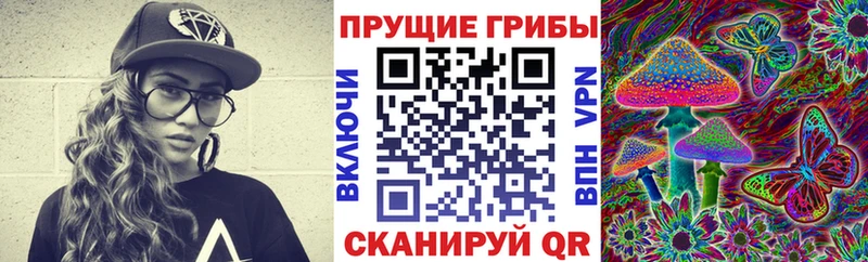 Галлюциногенные грибы Cubensis  Ростов-на-Дону 