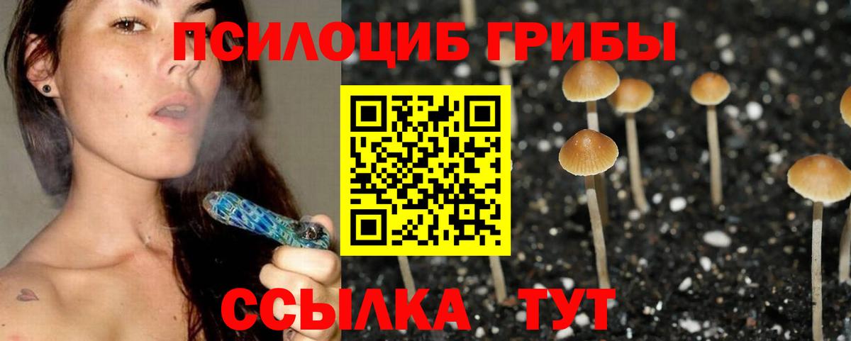 Галлюциногенные грибы MAGIC MUSHROOMS  Ростов-на-Дону 